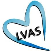 Lehigh valley adult services