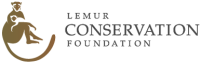 Lemur conservation foundation
