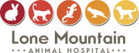 Lone mountain animal hospital