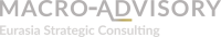 Macro advisory partners