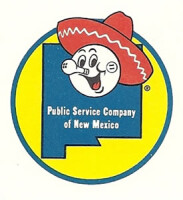 Public Services Company of New Mexico