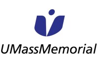 Morris technology solutions, llc