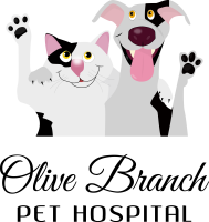 Olive branch animal clinic