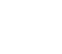 Palo duro hardwoods
