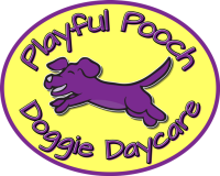 Pooches dog daycare, training, grooming and boarding