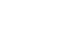 Singer / bea llp