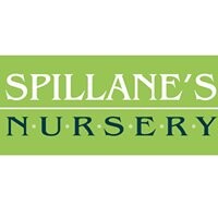 Spillane's nursery and landscape co.,inc.