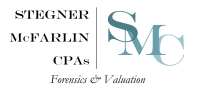 Stegner & associates cpas p.c.