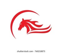 Thoroughbred