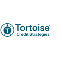 Tortoise credit strategies