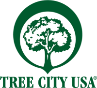 Trees usa