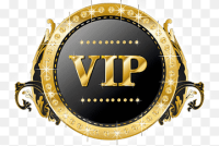 Vip enterprises