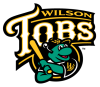 Wilson tobs baseball llc