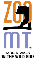 Zoomontana