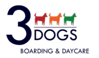 3 dogs boarding and daycare