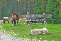 Chungo Creek Outfitters