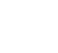 Birgo realty