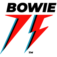 Bowie electric service & supplies, inc.