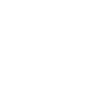 Brick lane llc