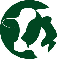Bridgewater dairy llc