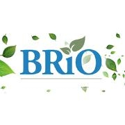 Brio home health