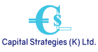 Brooklands capital strategies