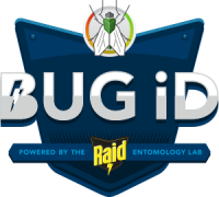 Bug id, inc.