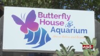 Butterfly house & aquarium