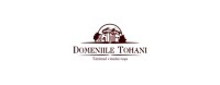 Domeniile Tohani