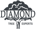 Diamond tree experts, inc.