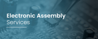 Electronic assembly services ltd