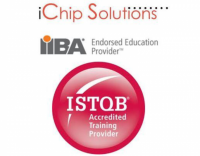 IChip Solutions