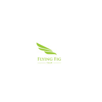 Flying fig