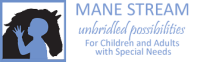Mane stream