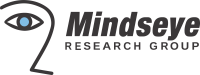 Mindseye research group