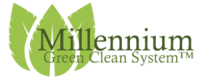 Millennium maintenance systems