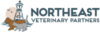 Northeast veterinary hospital