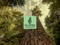 Tall tree investment management, llc