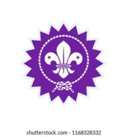 Boy scouting