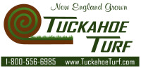 Tuckahoe landscaping lawn
