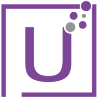 Us software professionals, inc.