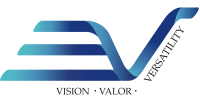 3v company