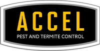Accel pest & termite control
