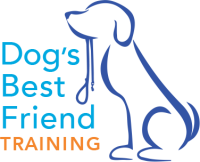A dog's best friend