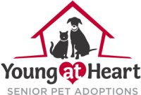 Young at heart pet rescue