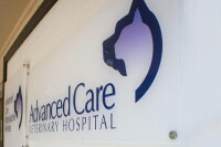 Advanced care veterinary hosp