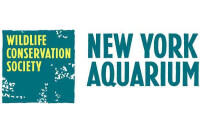 The New York Aquarium