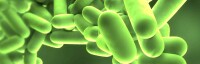 Tritium Microbiologie BV
