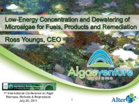 Algaeventure systems