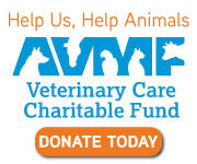 Androscoggin animal hospital